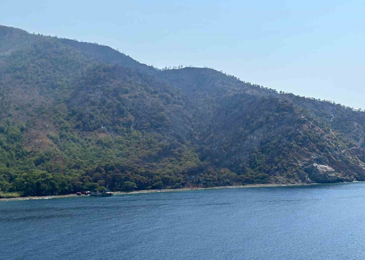 Marmaris'te yangın kontrol altına alınıyor
