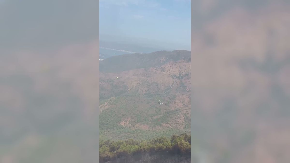 Marmaris'te yangın kontrol altına alınmaya çalışılıyor