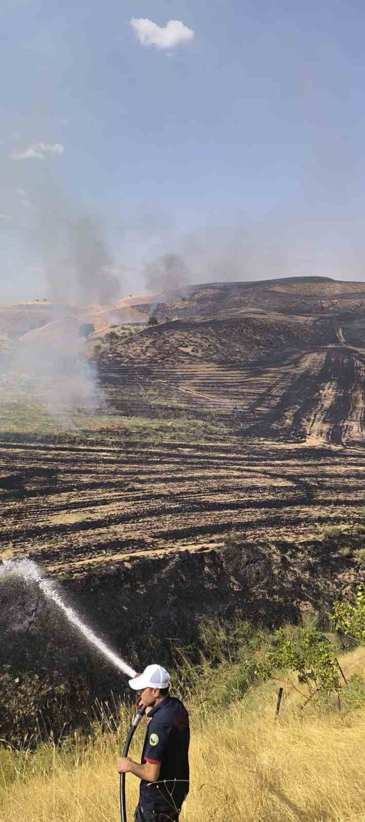 Siirt'te Anız Yangını Meyve Bahçesine Sıçradı: 100 Ağaç Zarar Gördü