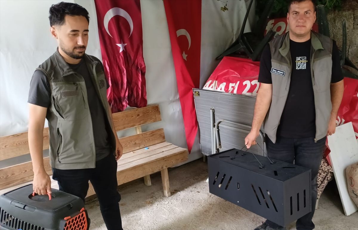 Reşadiye’de Çukura Düşen Tilki Yavrusu Kurtarıldı