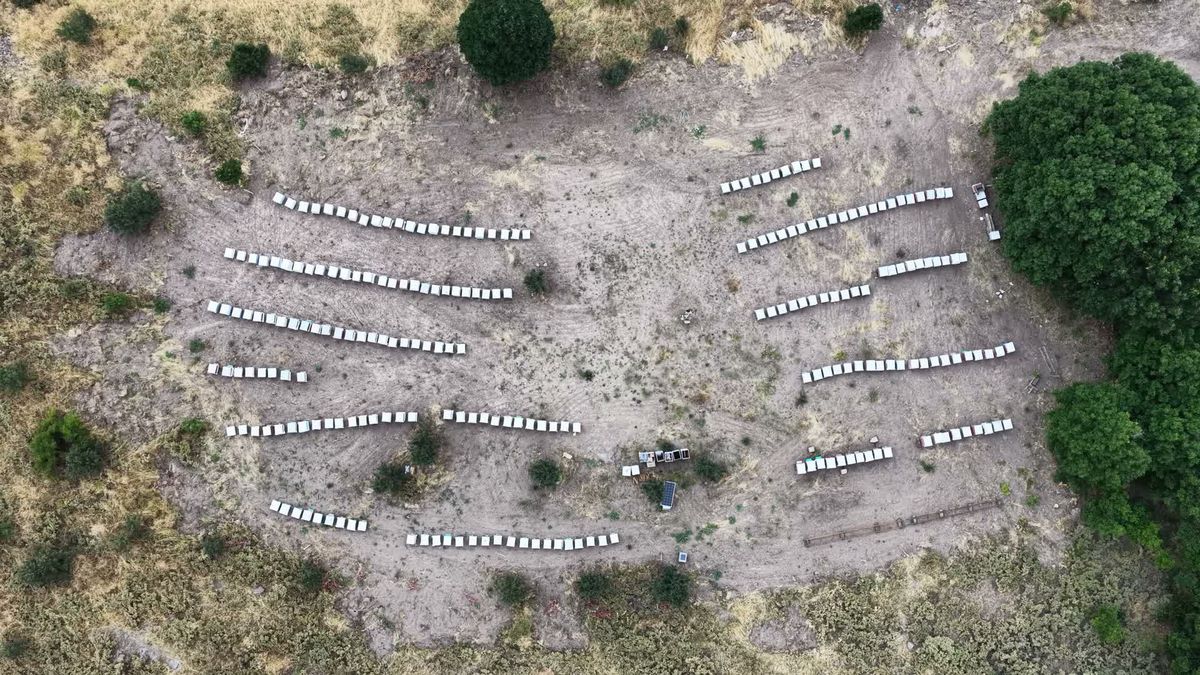 Tunceli’de Bal Sağım Sezonu Başladı: Arıcıların Emeği Sofralara Ulaşıyor