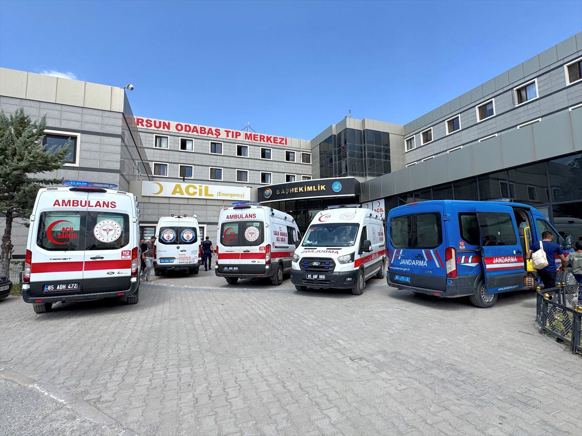 Van'da göle giren 2 kardeş hayatını kaybetti