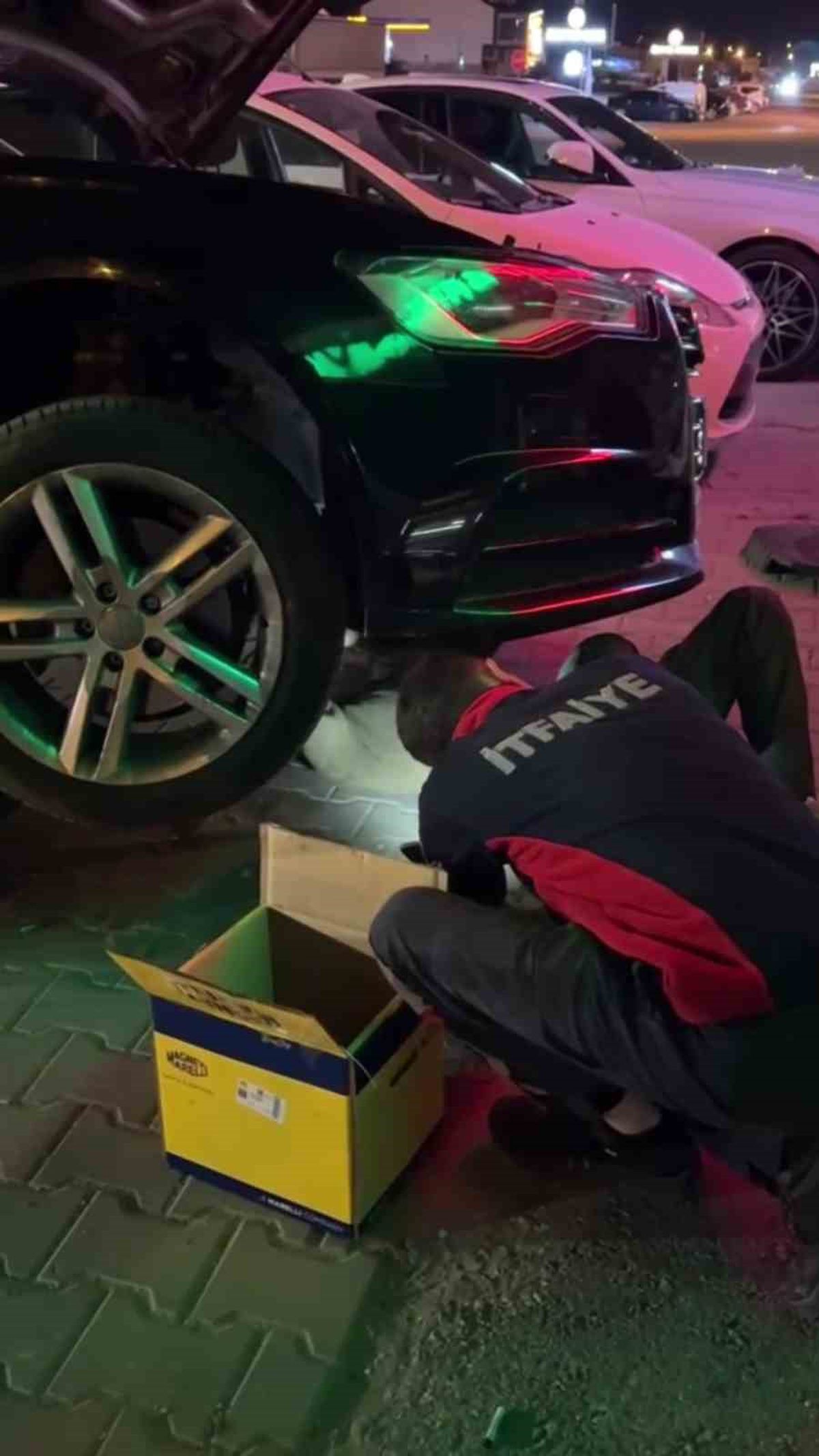 Fransa’dan Gelen Otomobilin Motorundan Yavru Kedi Kurtarıldı