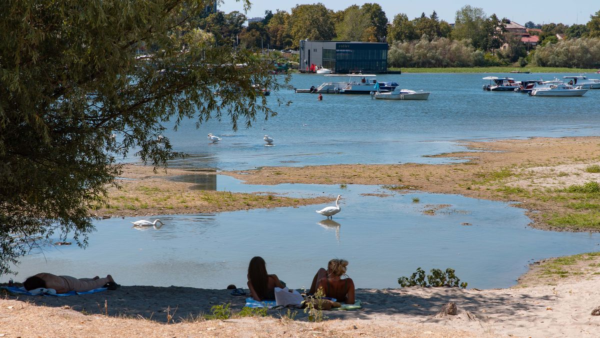 Belgrad'da kuraklık Tuna Nehri'ni kuruttu