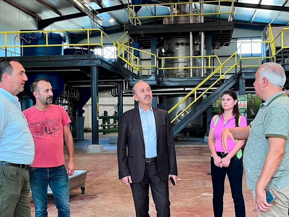 Balıkesir'de zeytin hasadı öncesi verimli sezon beklentisi