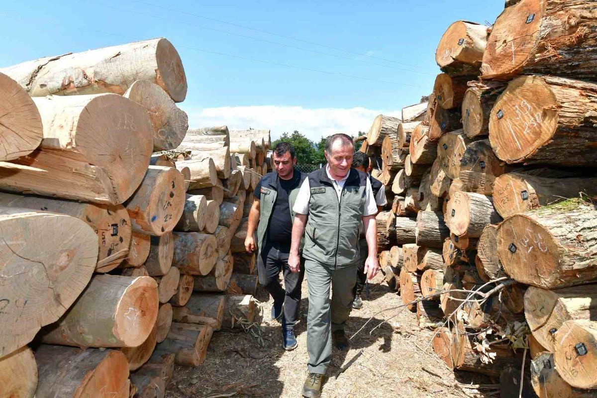 Balıkesir Orman Bölge Müdürü Musa Şen, Bandırma'da Ormancılık Çalışmalarını İnceledi