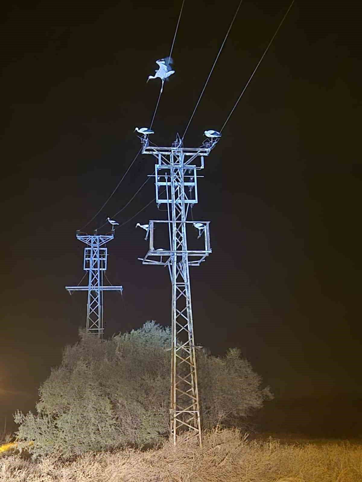 Afyonkarahisar'da Leylek Göçü Elektrik Kesintisine Neden Oldu
