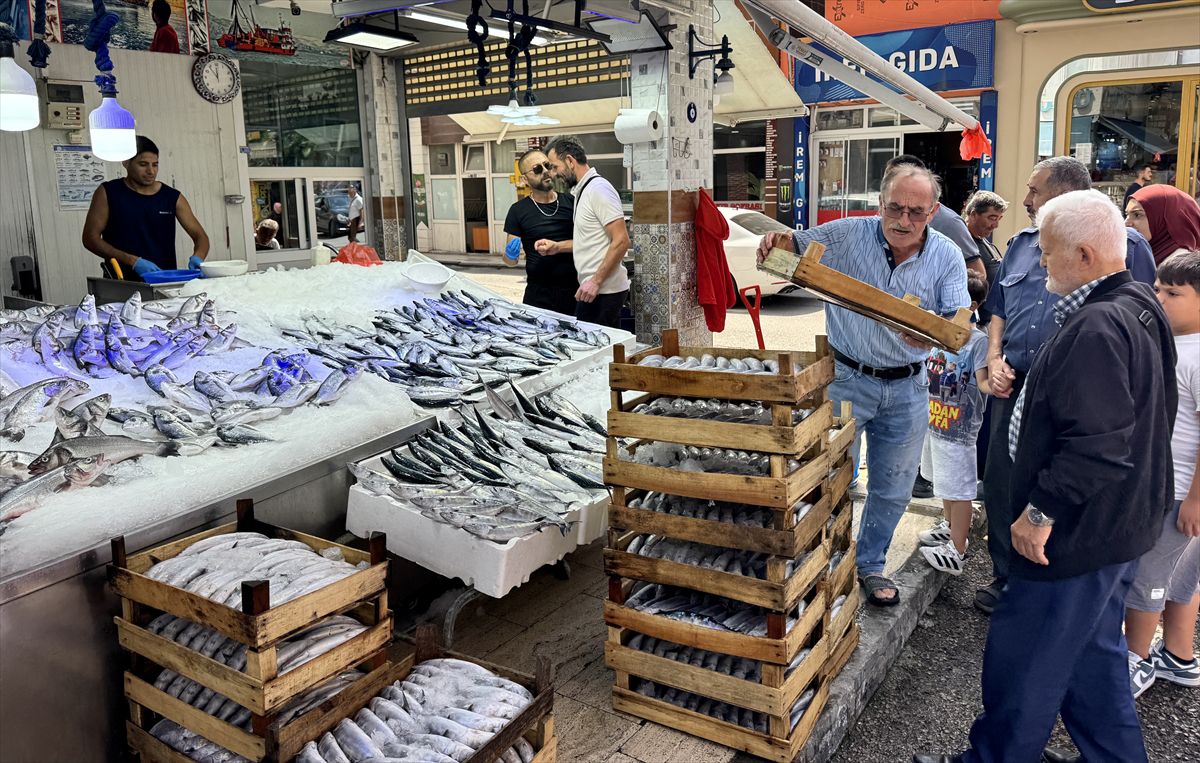 Sinop’ta Palamut Bolluğu: Tezgahlarda 200-250 TL