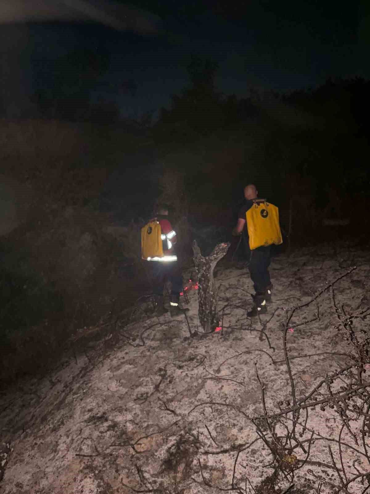 Prizren'deki orman yangını 7 saatte söndürüldü