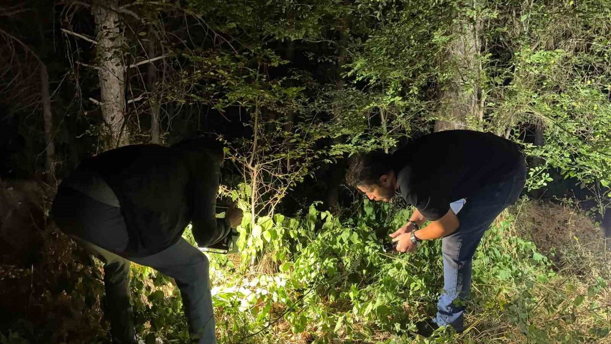 Kütahya'da Silahlı Yaralama: Bir Kişi Gözaltında