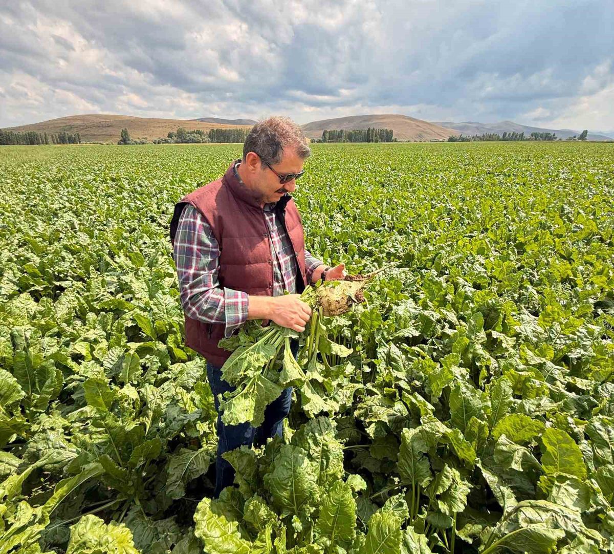 Bakan Yardımcısı Ayhan'dan Memleket Özlemi