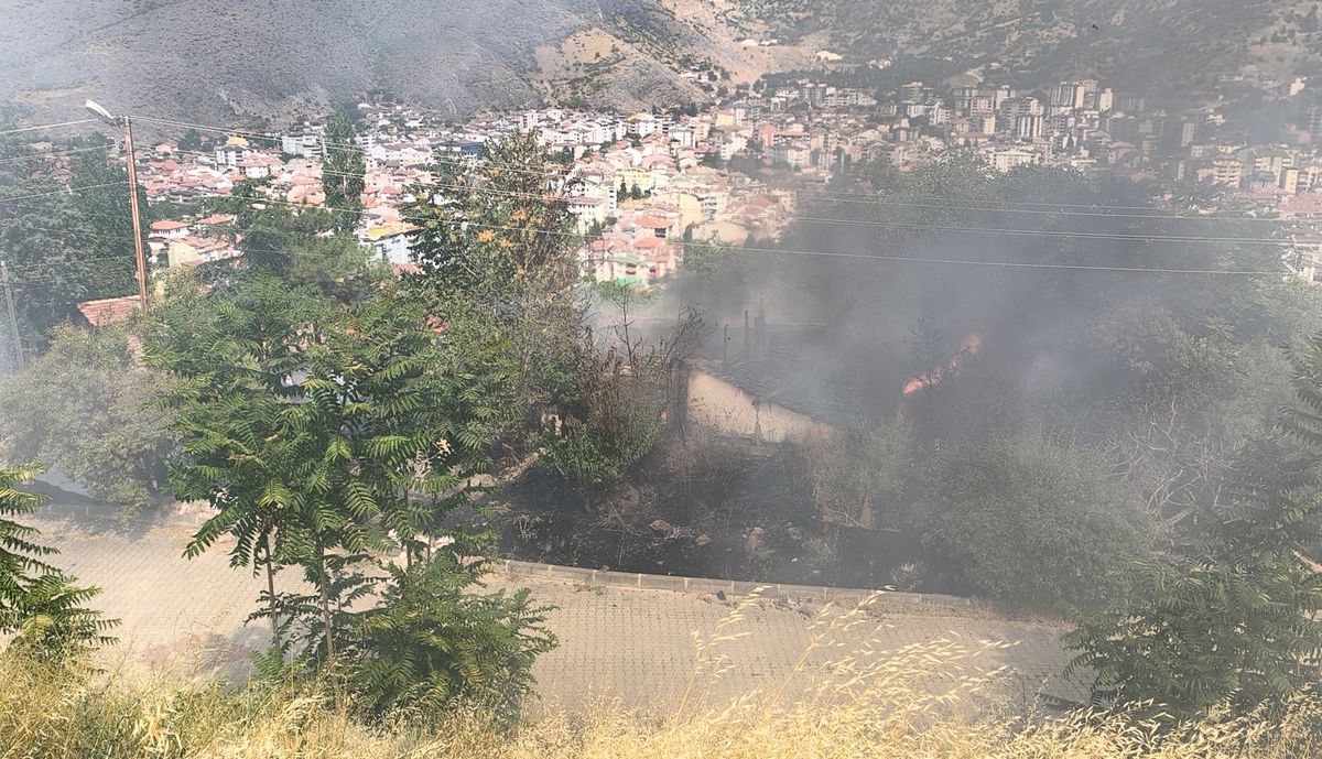 Tokat'ta Otluk Alanda Yangın: Metruk Bina Küle Döndü