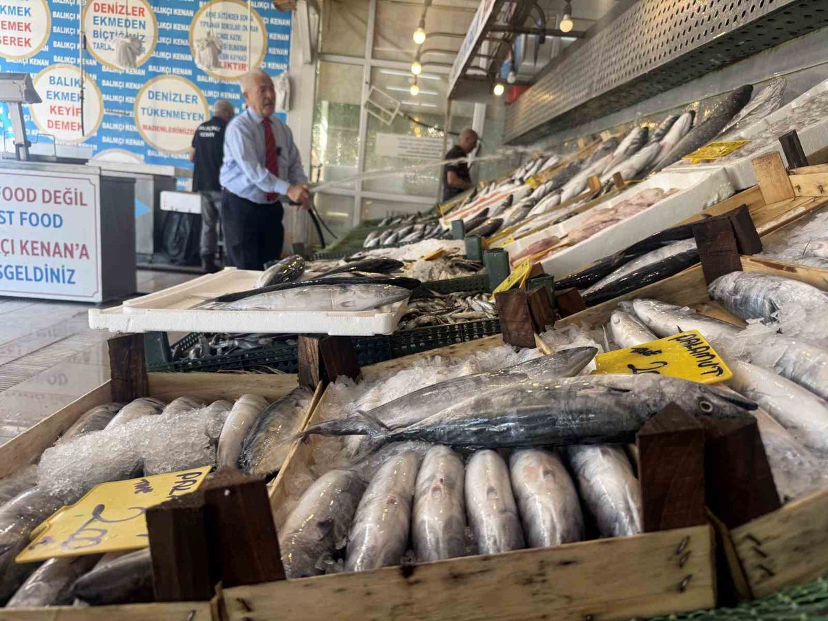 Yeni sezonda balık bolluğu: Palamut ve hamsi müjdesi