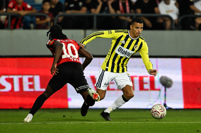 Fenerbahce training image