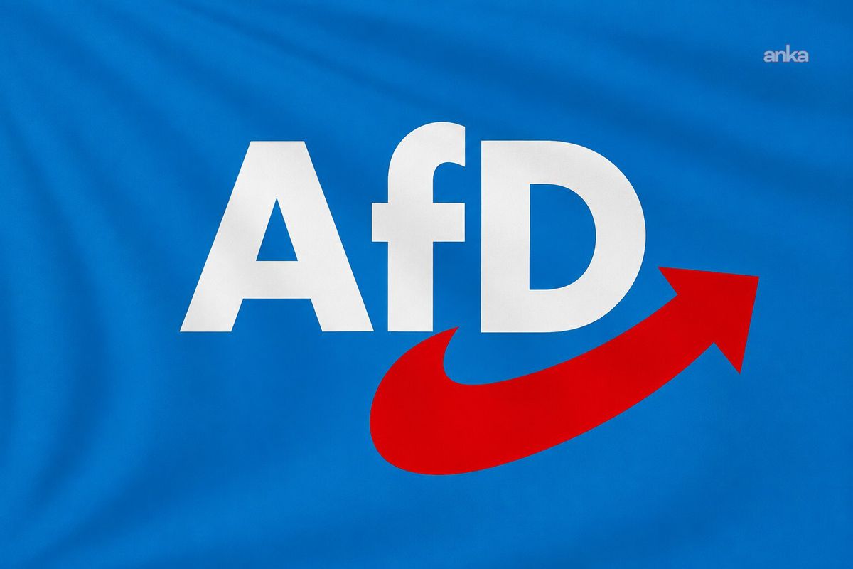 Almanya'da AfD'ye Karşı 'Gerçek Vatan Sevgisi Budur' Kampanyası