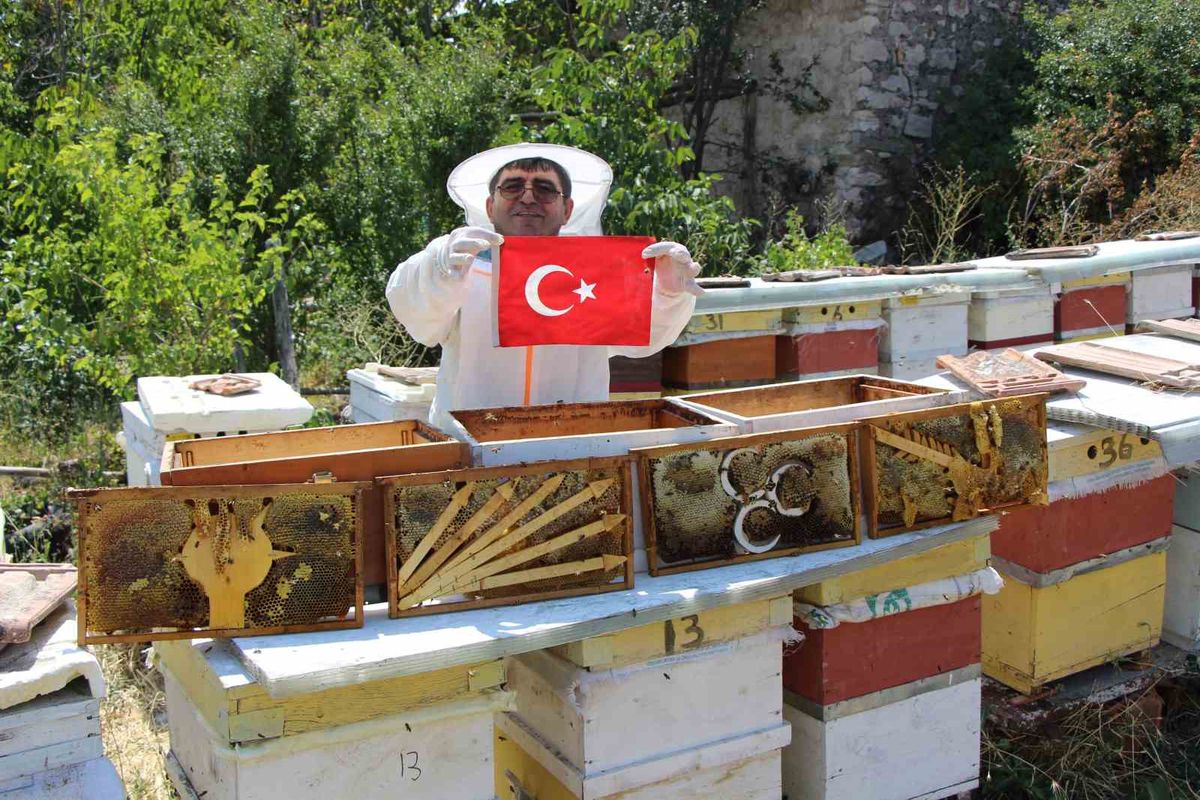 Arı kovanında sembolik seçim: Petek çıtalarında parti amblemi yarışı