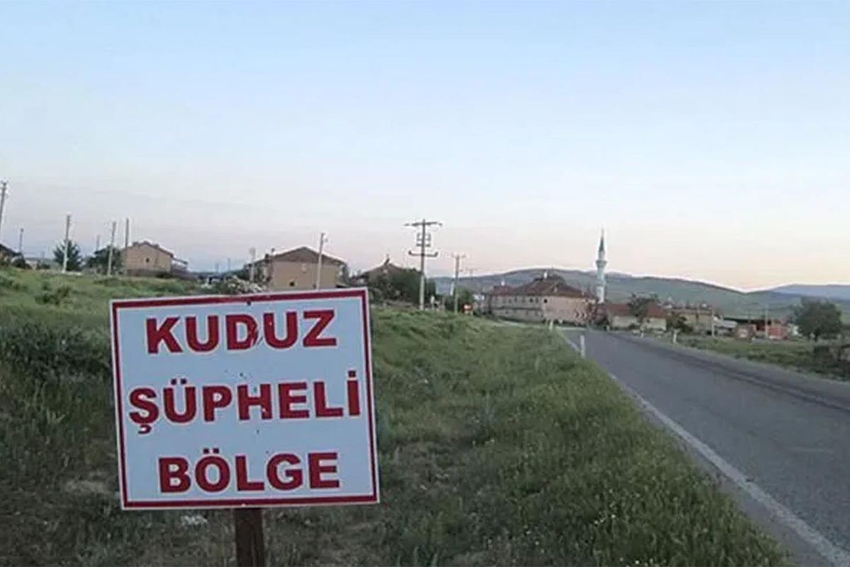 Ardahan'da kuduz vakası nedeniyle bir bölge karantinaya alındı