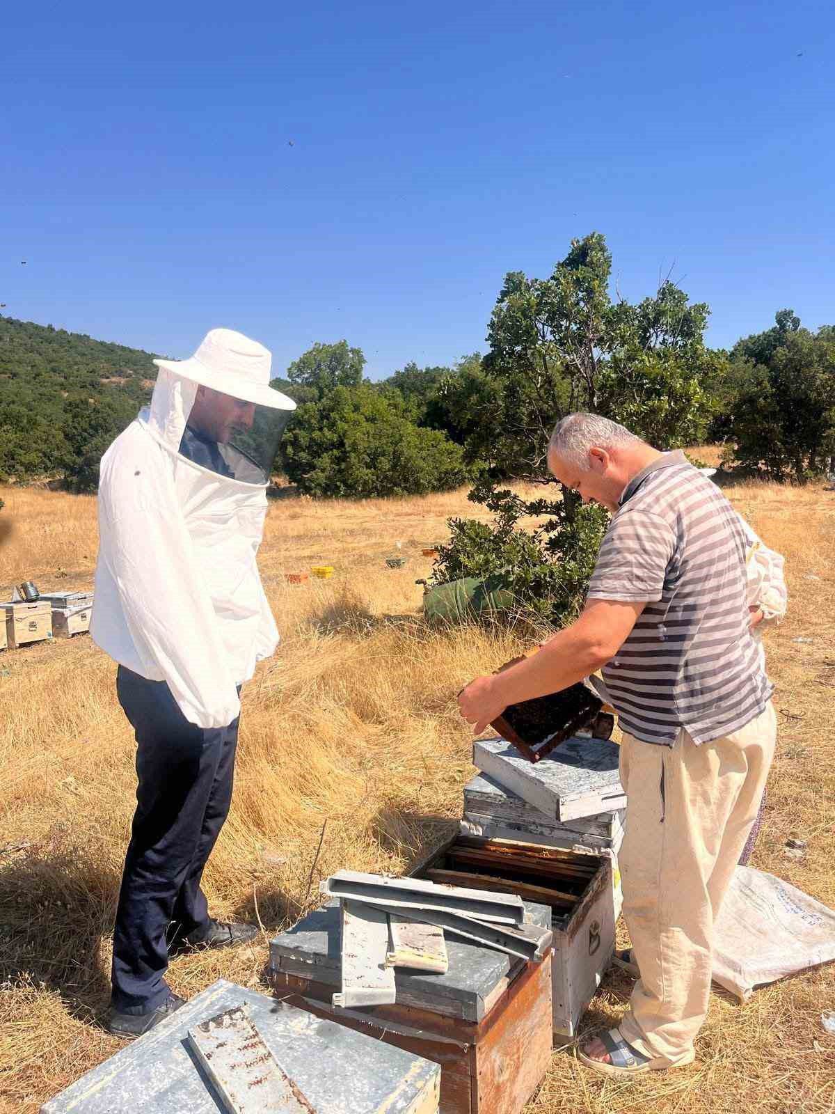 Arıcılıkta Kovan Sayım Çalışmaları Sürüyor