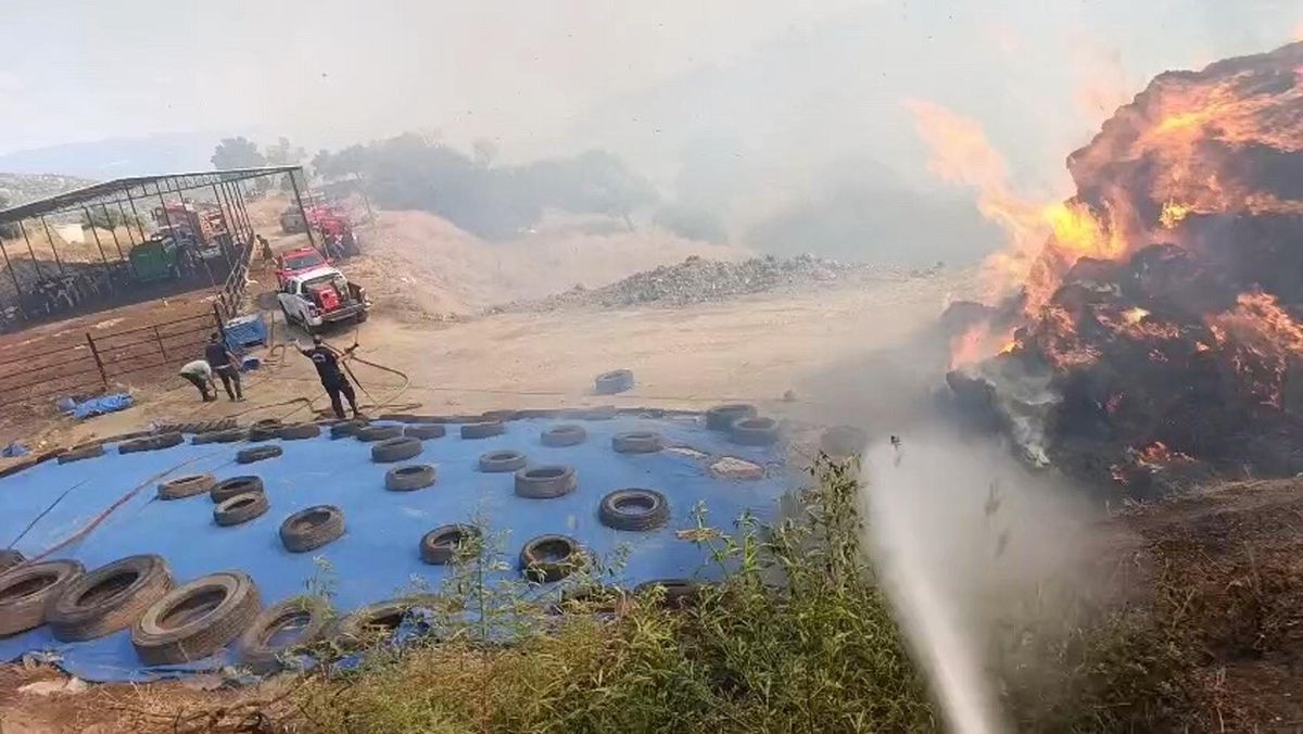Çine'de Ot Yangını Zeytinliğe Sıçradı