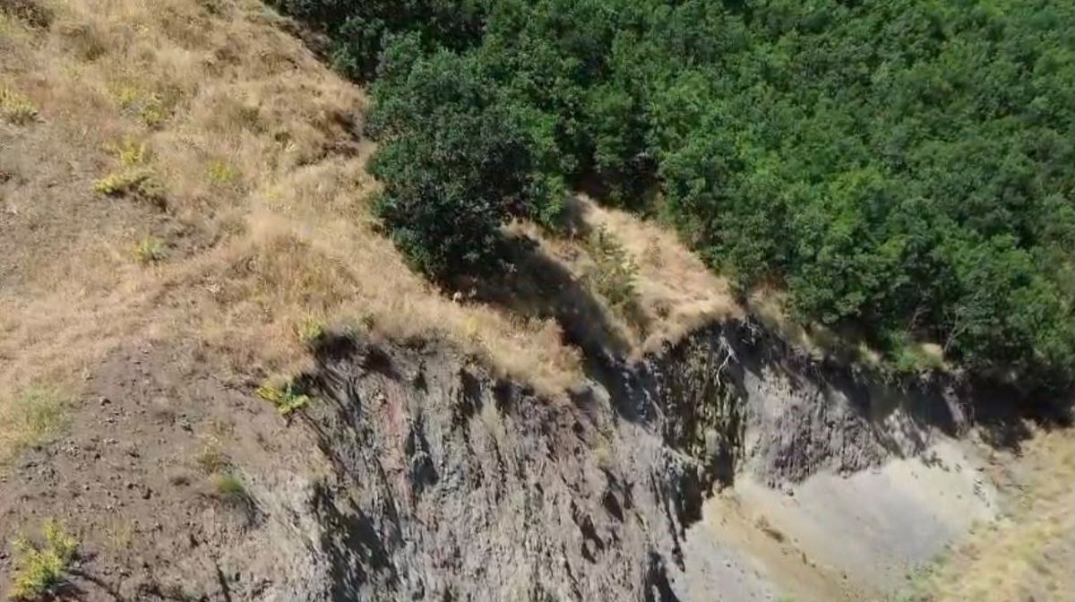 Bingöl'de Nesli Tükenme Tehlikesindeki Dağ Keçisi Dronla Görüntülendi