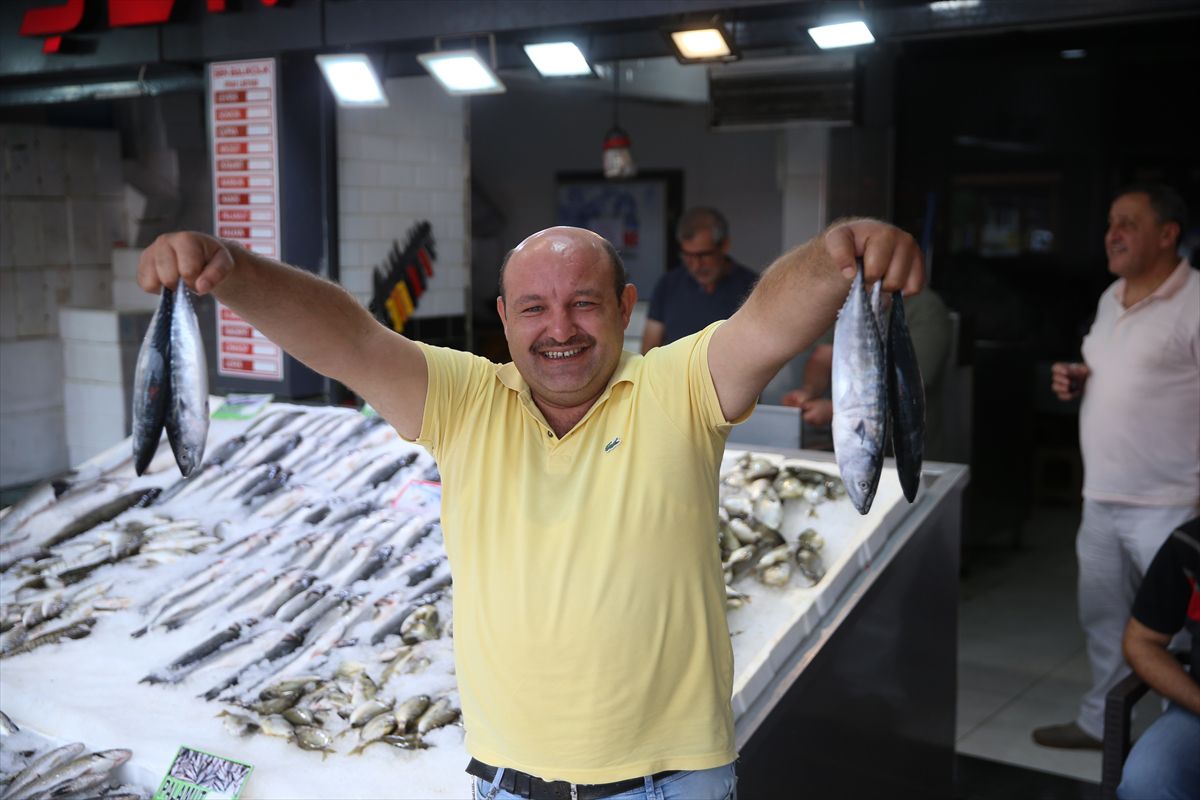 Balıkçılar yeni sezon için hazır, palamut bolluğu bekleniyor