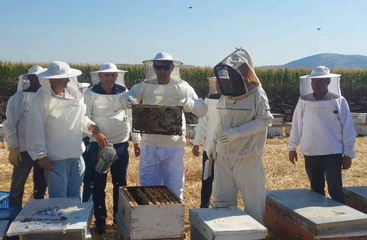Saruhanlı’da Bal Hasadına Kaymakam Katıldı
