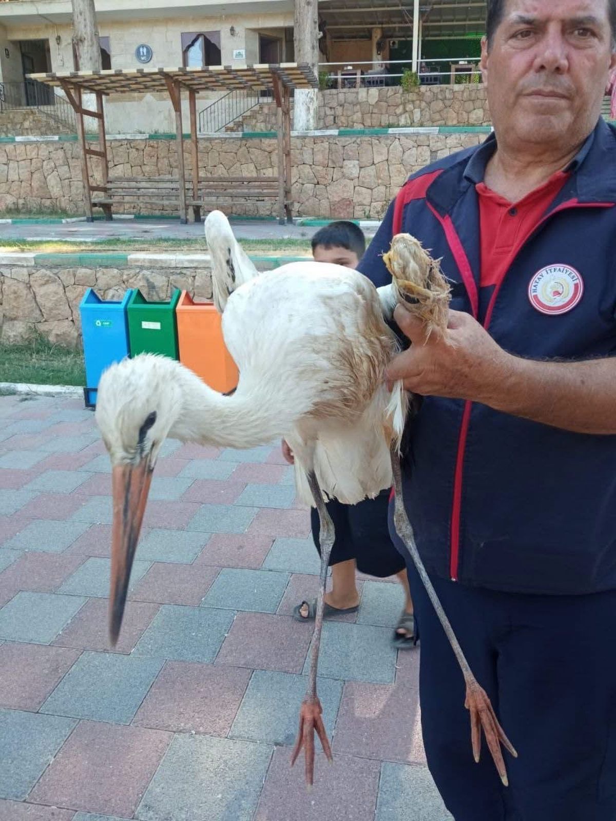 Reyhanlı'da Yaralı Leylek İtfaiye Tarafından Kurtarıldı