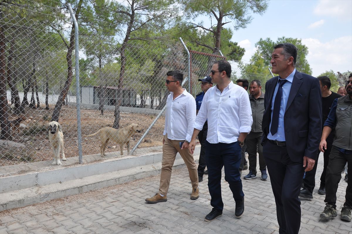Silifke'de doğal yaşam alanı incelendi