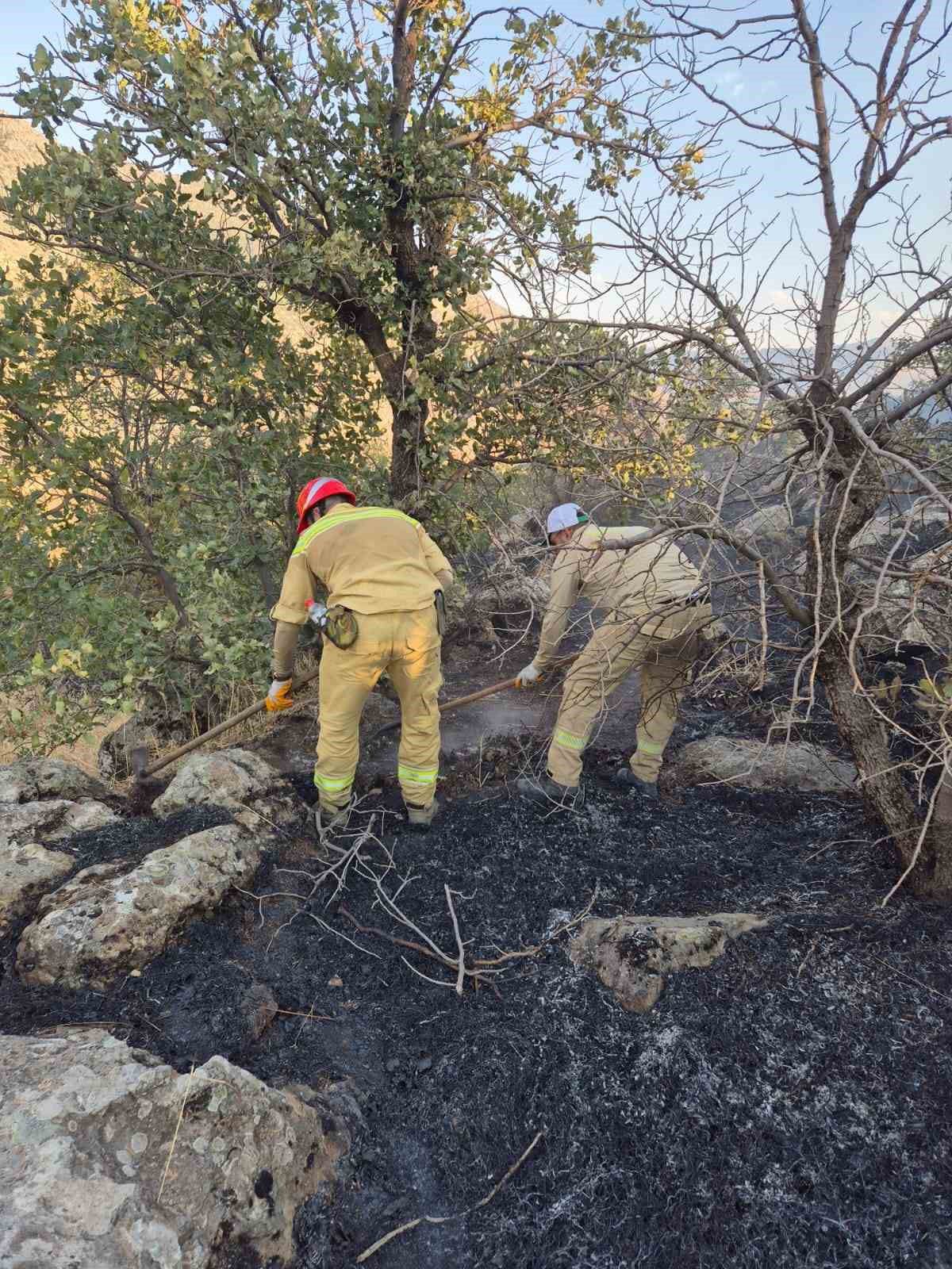 Siirt'te orman yangını kontrol altına alındı