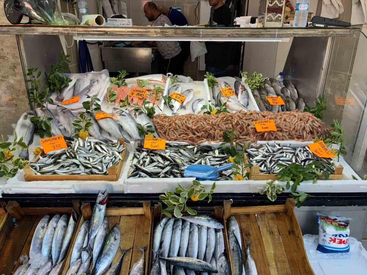 Av yasağı öncesi Karadeniz'de balık bolluğu: Palamut 80 TL, hamsi 500 TL