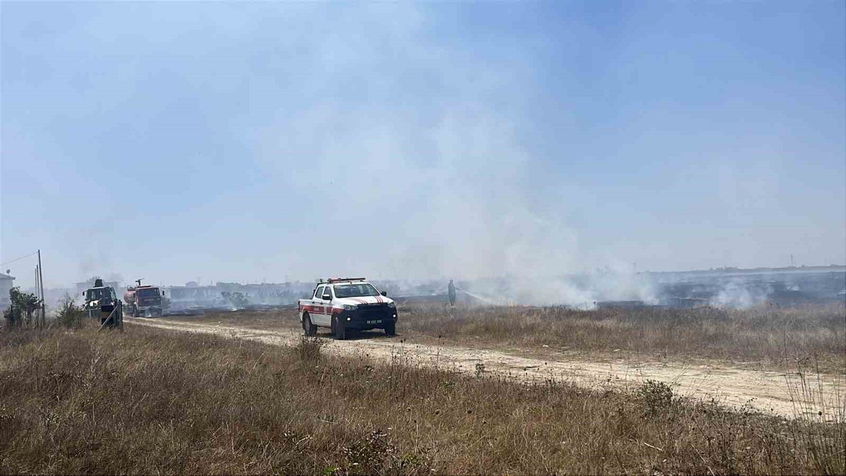 Tekirdağ'da yangın: Evlere sıçramadan söndürüldü