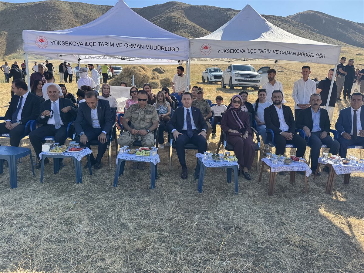 Yüksekova’da Kadın Kooperatifinin Nohut Hasadı
