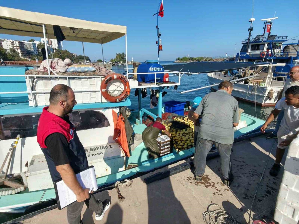 Akçakoca'da palamut sezonu hareketliliği ve denetimler