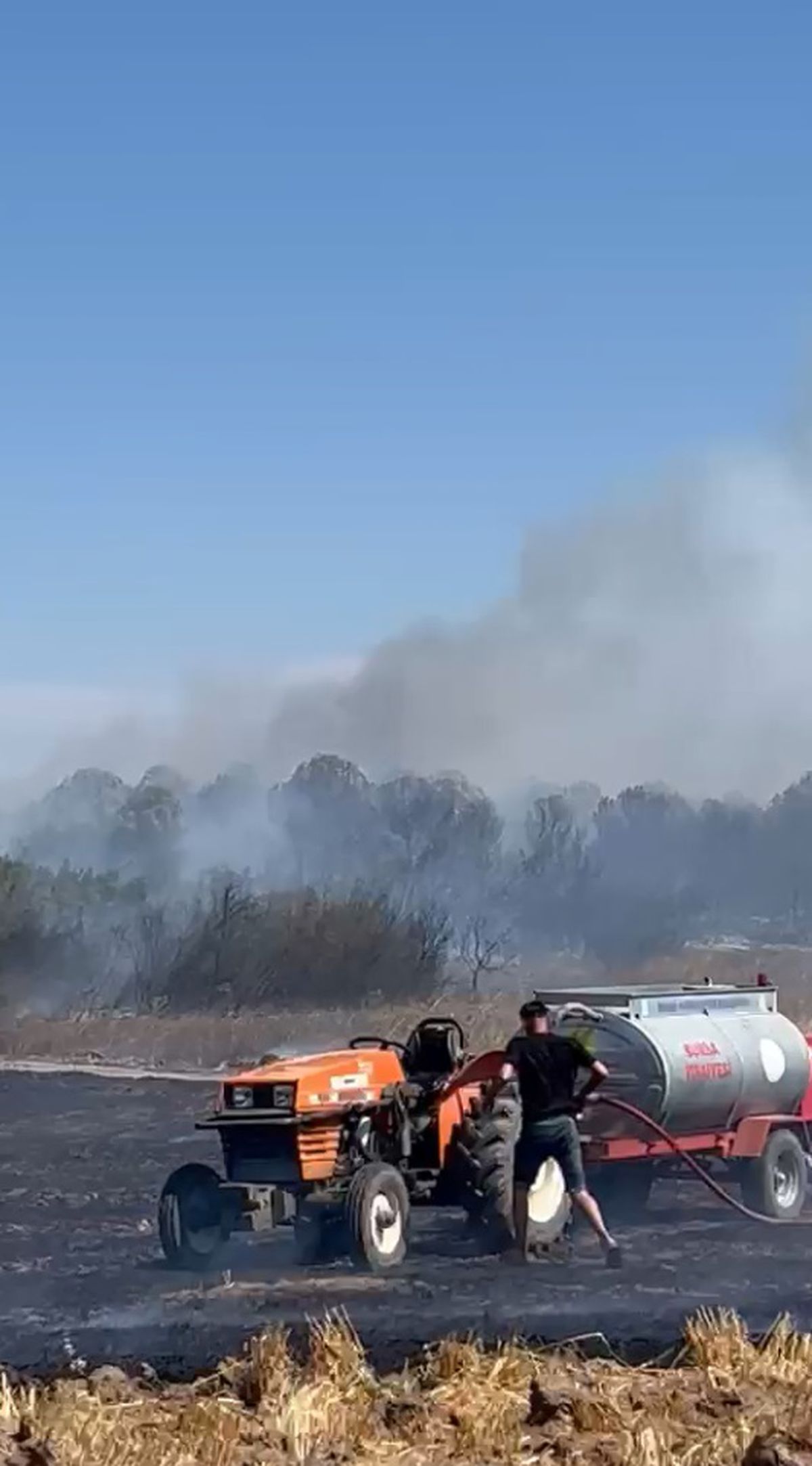 Mudanya'da Anız Yangını Ağaçlık Alana Sıçradı