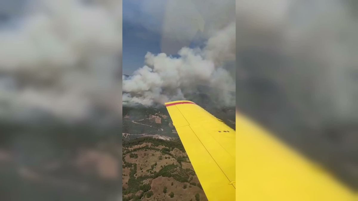 Sındırgı'da kamyon yangını ormana sıçradı