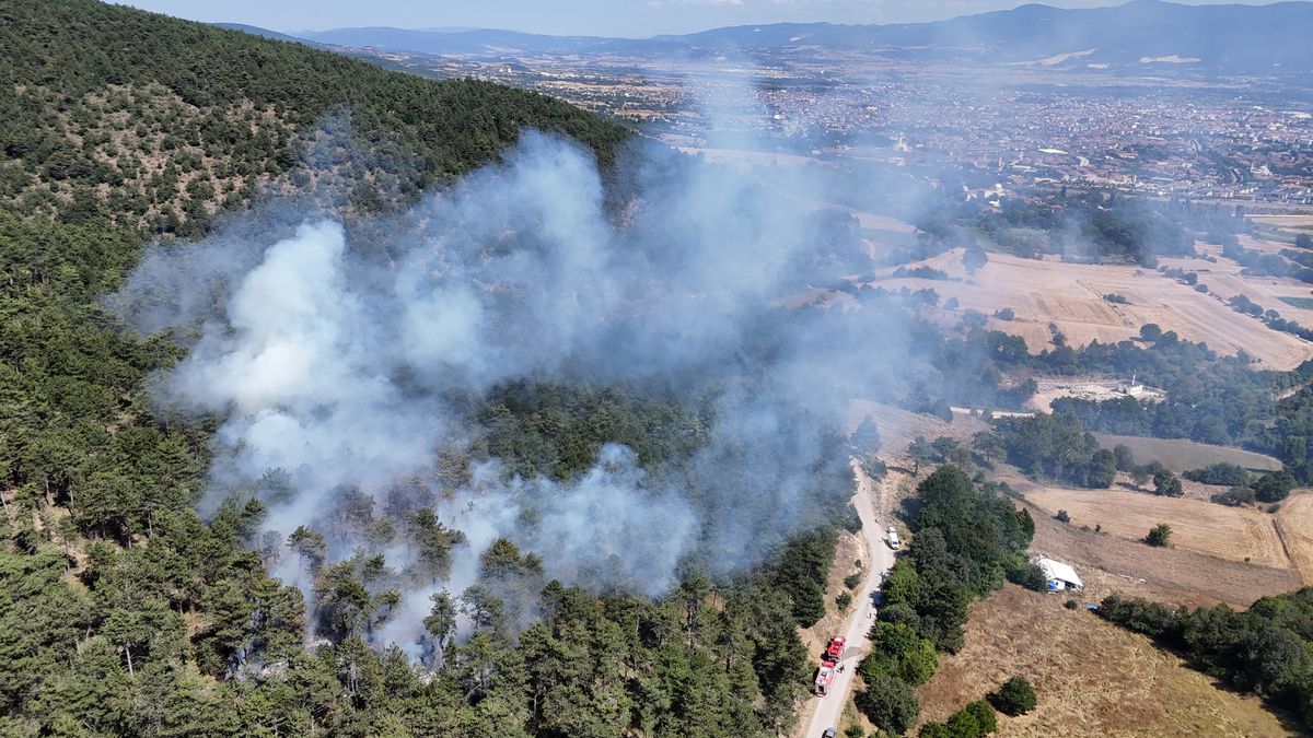 Bolu'da Orman Yangını: Ekipler Alevlere Müdahale Ediyor