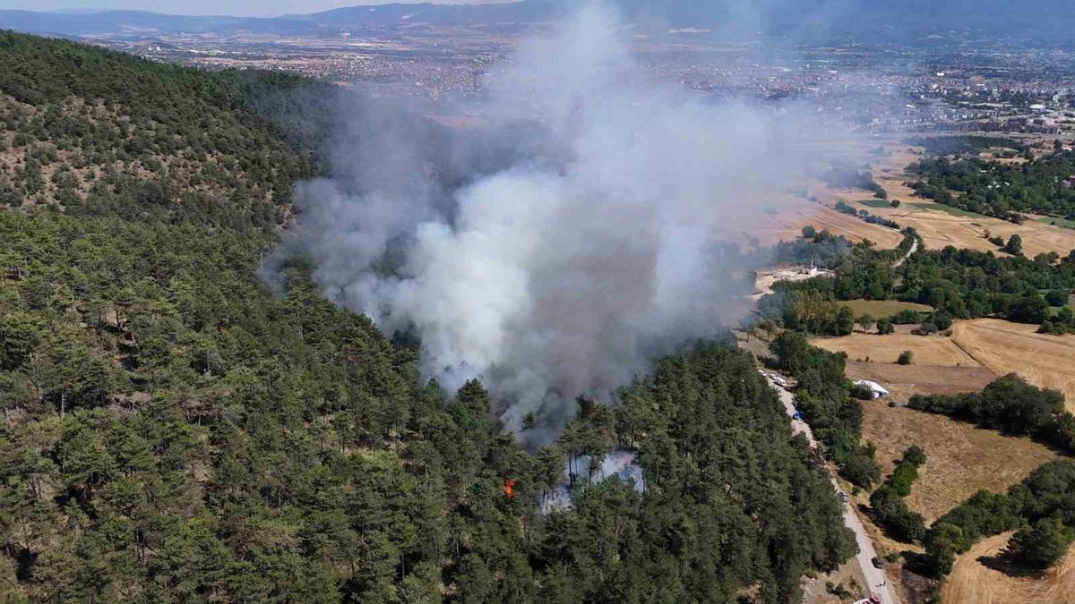 Bolu Kızılağıl'da orman yangını