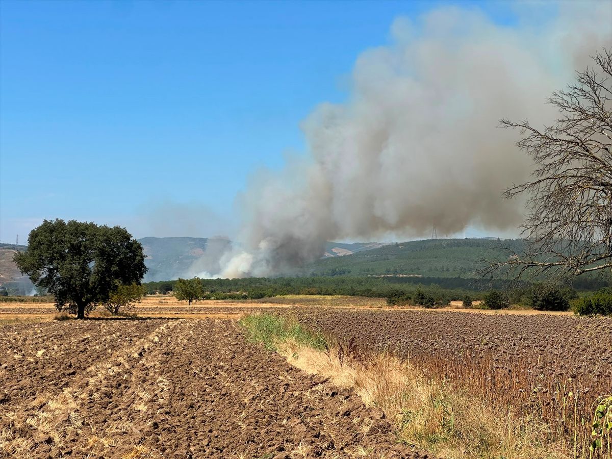 Mudanya'da Yangın: Havadan ve Karadan Müdahale Sürüyor