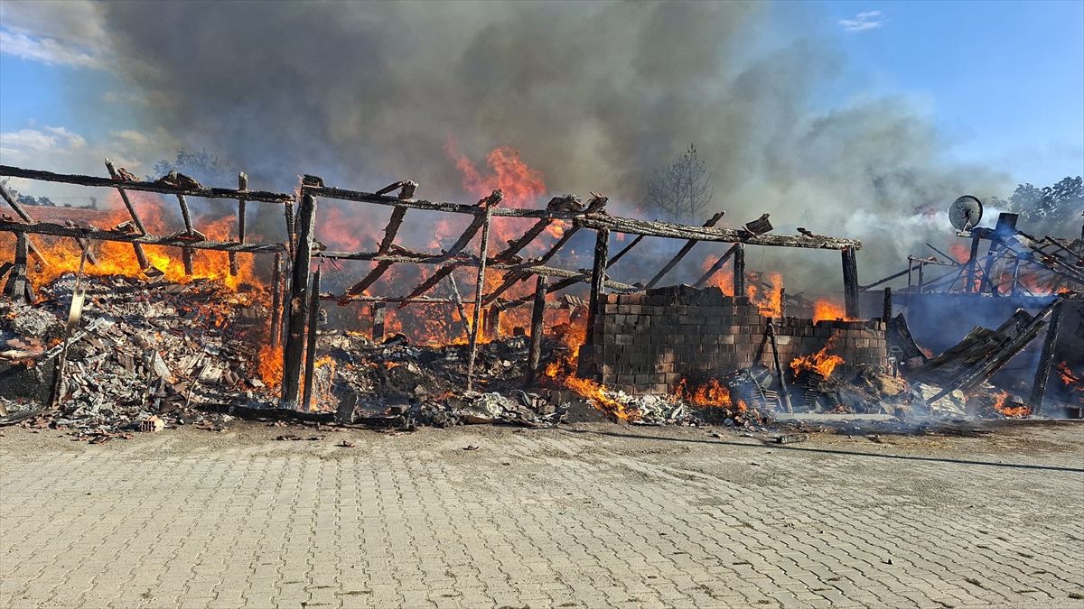 Ilgaz’da samanlık yangını: 1 hayvan telef oldu, 4 yapı kül oldu