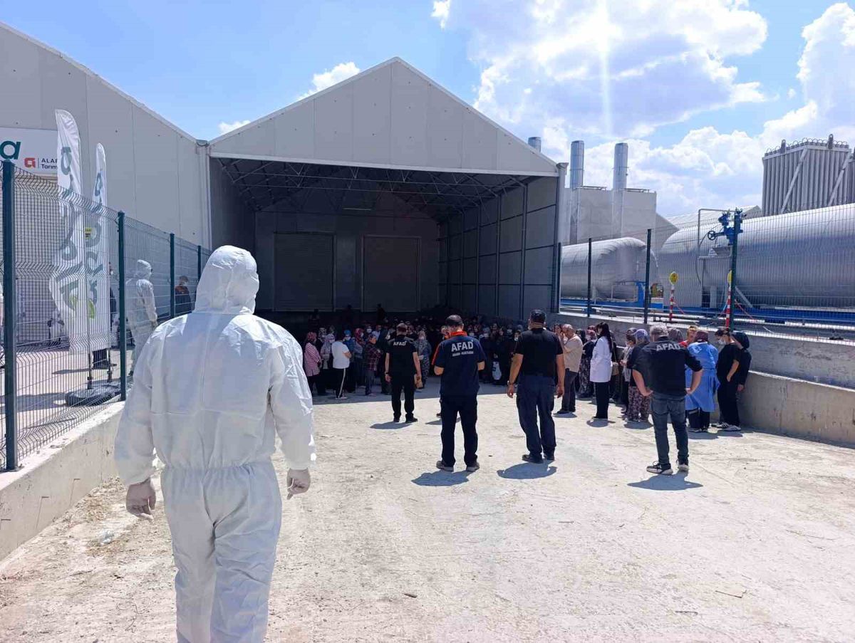 Afyonkarahisar'da Serada İlaçlama Zehirlenmesi: 40 Kişi Etkilendi