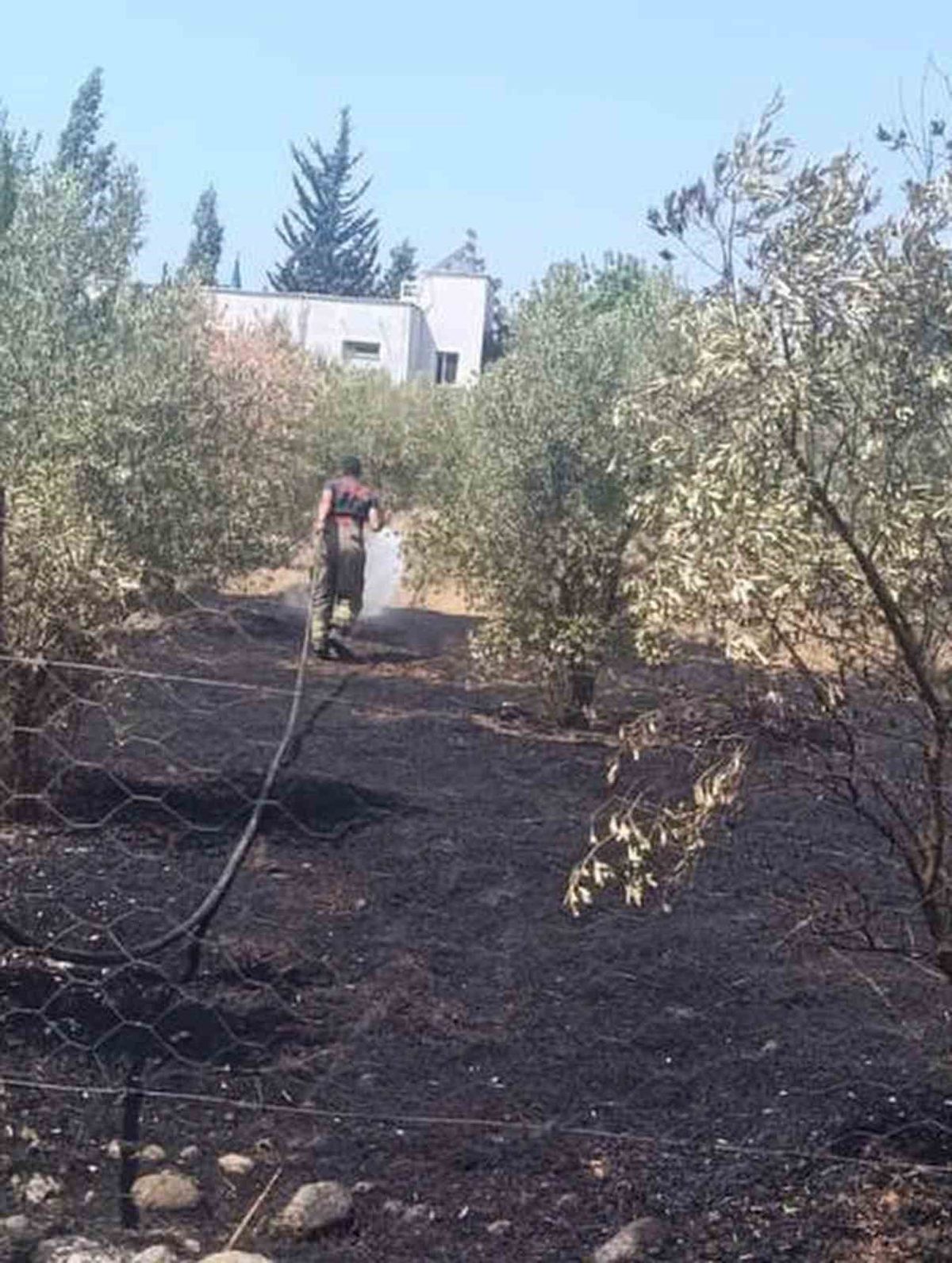 Dörtyol'da Bahçe Yangını Kontrol Altına Alındı