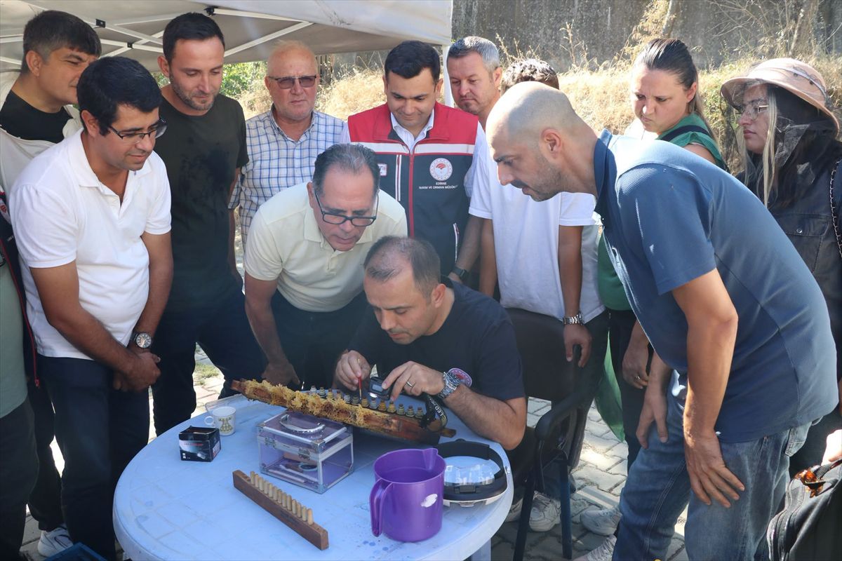 Keşan'da Arıcılara Ana Arı Yetiştiriciliği Eğitimi