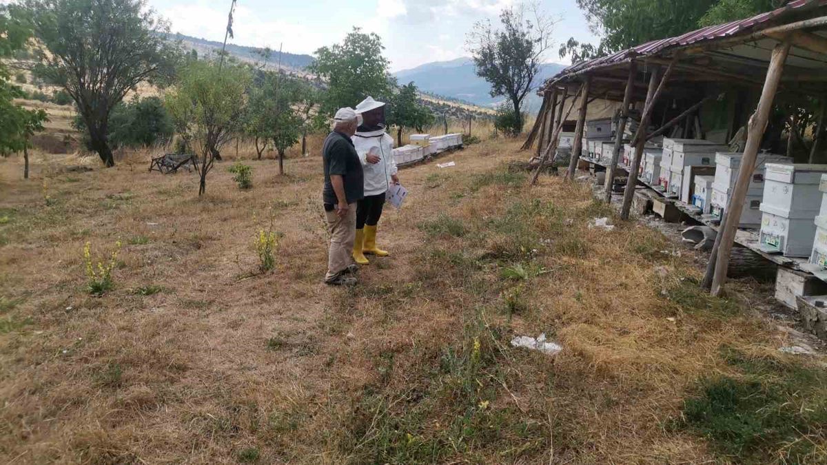 Emet'te Arılı Kovan Tespit Çalışmaları Sürüyor