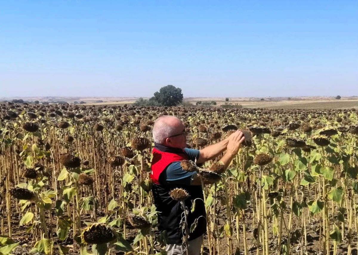Kırklareli'nde TAKE Projesi Ayçiçeği Tarlaları Kontrol Edildi