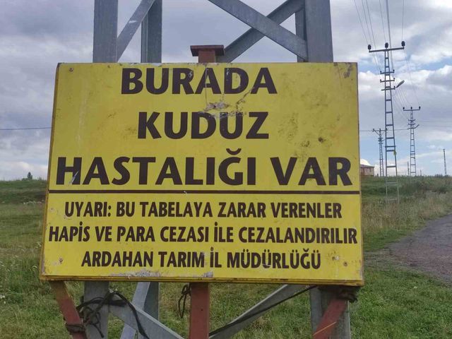 kuduz nedeniyle mahalleye giris cikislar 2 20157142 o