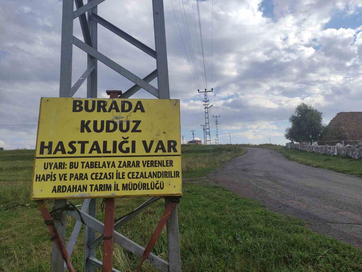 Ardahan'da Büyükbaş Hayvanda Kuduz Tespit Edildi, Mahalle Karantinaya Alındı
