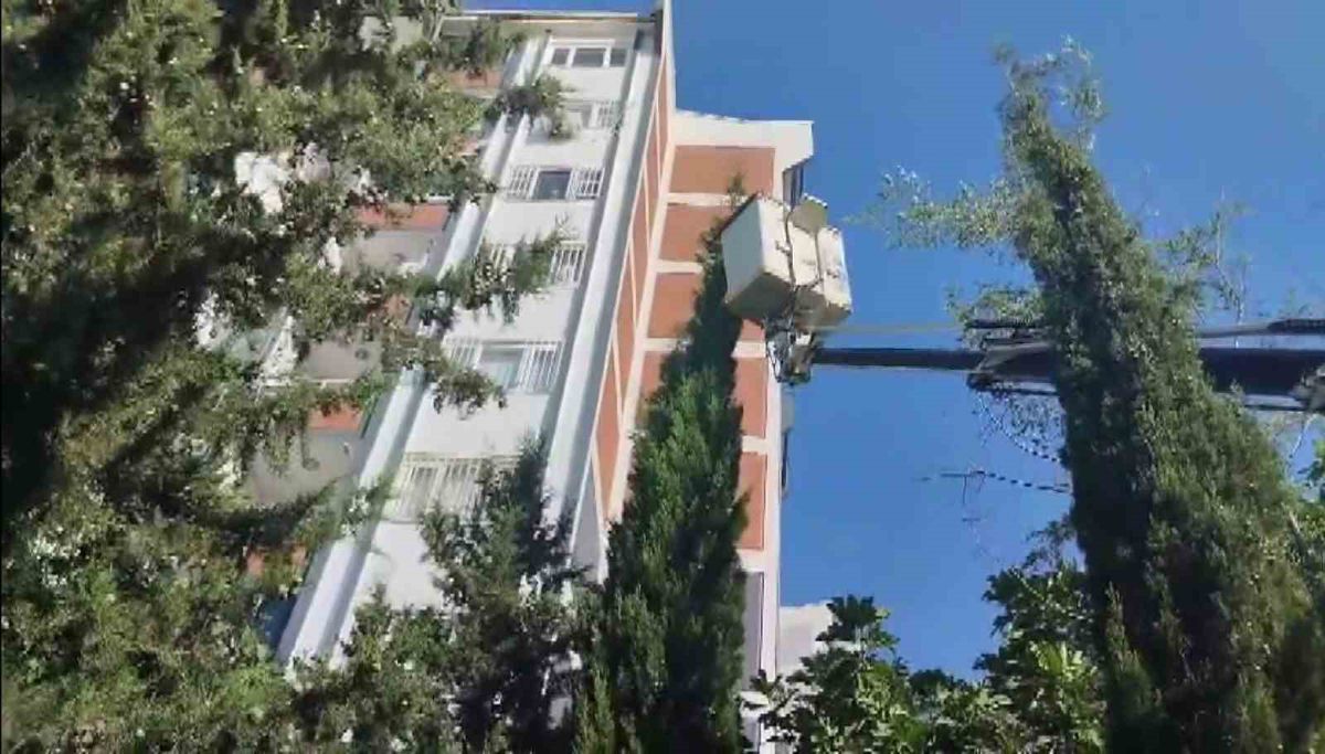 Adıyaman'da Mahsur Kalan Yavru Kedi Kurtarıldı