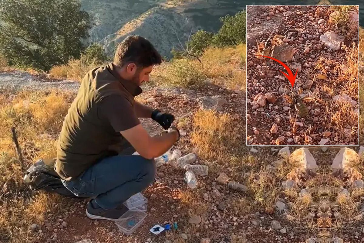 Türkiye’den kaçırırken yakalandılar! Yabancı uyruklu şahıslara 1,4 milyon TL ceza