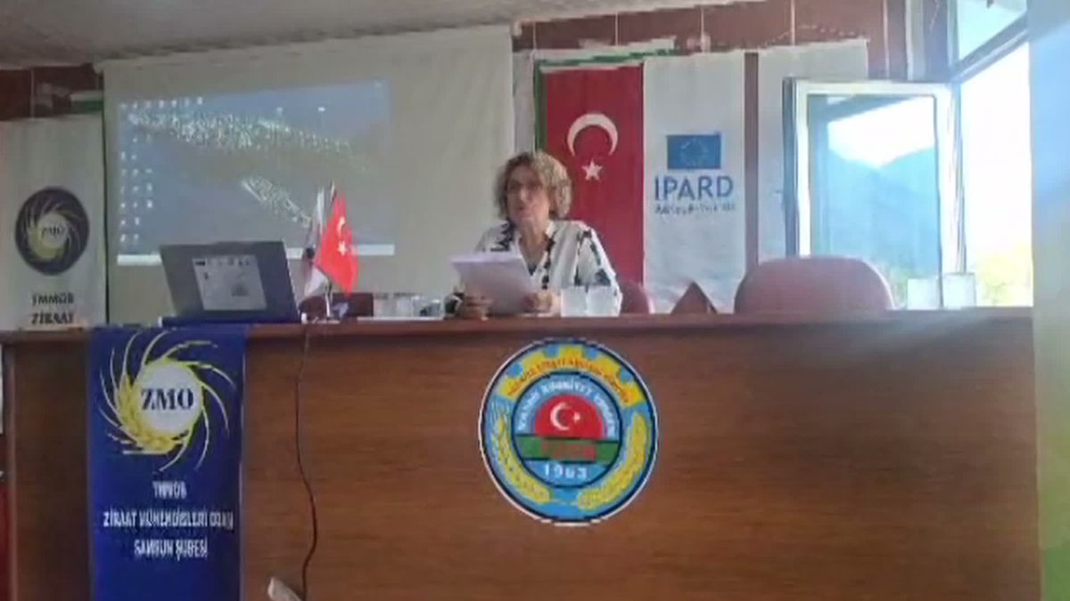 Samsun'da Fındık ve Arıcılık Eğitimi: Kokarca Tehdidi ve Maliyetler Masaya Yatırıldı