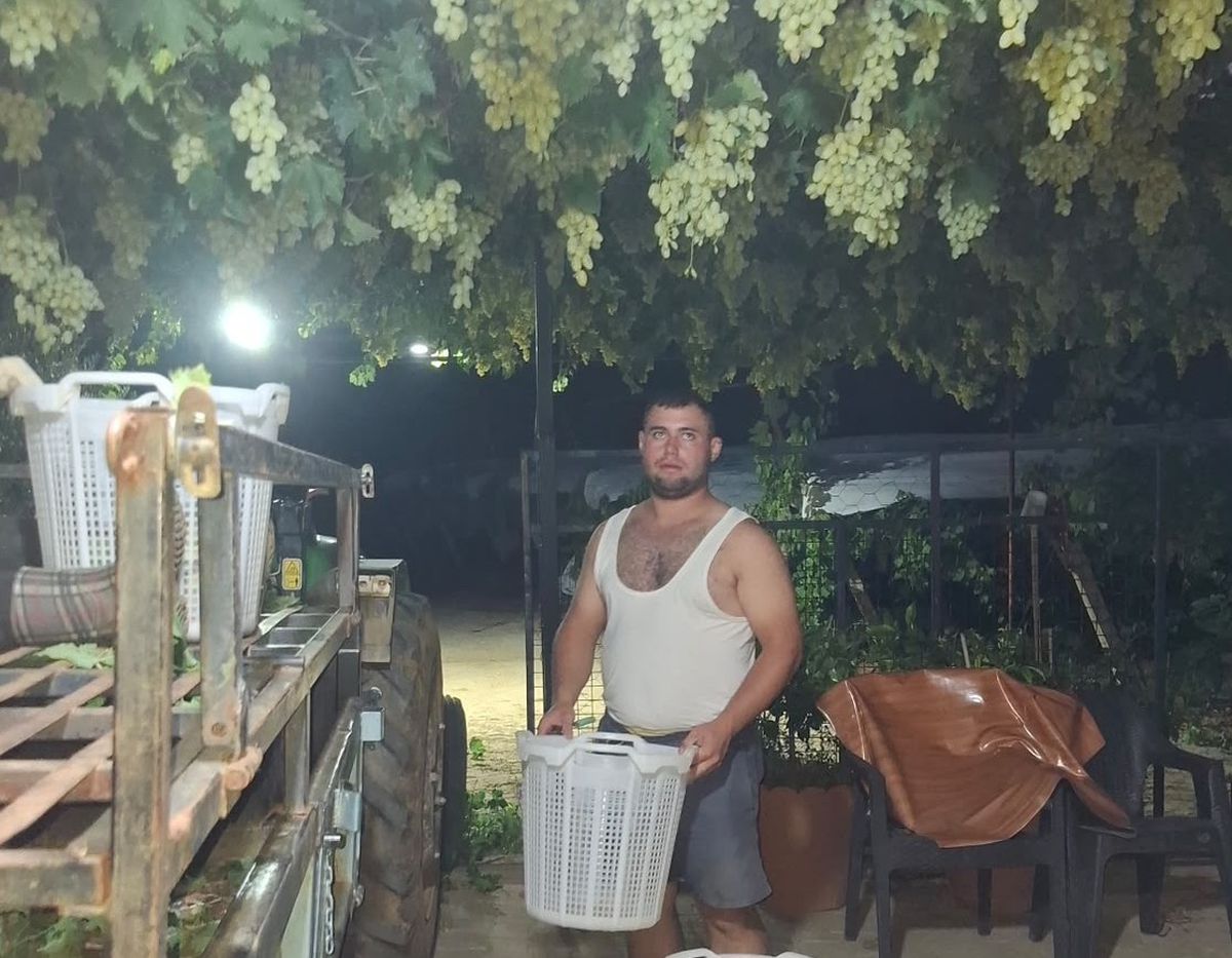 Manisa'da Üzüm Üreticisine Gece Mesaisi